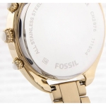 Часы Fossil CH2976