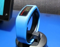 Часы Garmin Vivofit Blue 