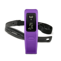 Часы Garmin Vivofit Purple Bundle