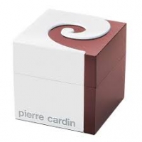 Часы Pierre Cardin PC100211F03