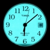 Часы Timex T2H371