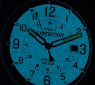 Часы Timex T49991